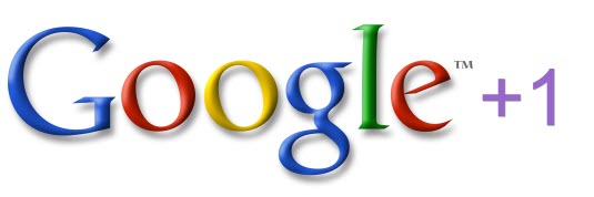 Google +1